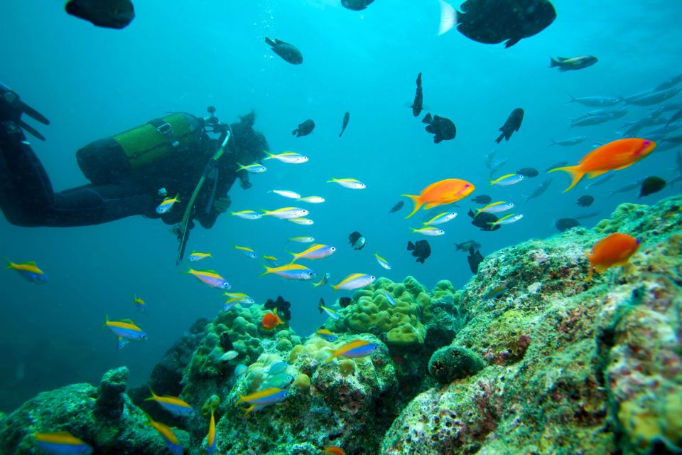 Kusadasi Scuba Diving - Pricing Information