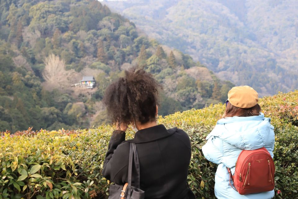 Kyoto Arashiyama Best Spots 4h Private Tour - Tenryu-ji Temple