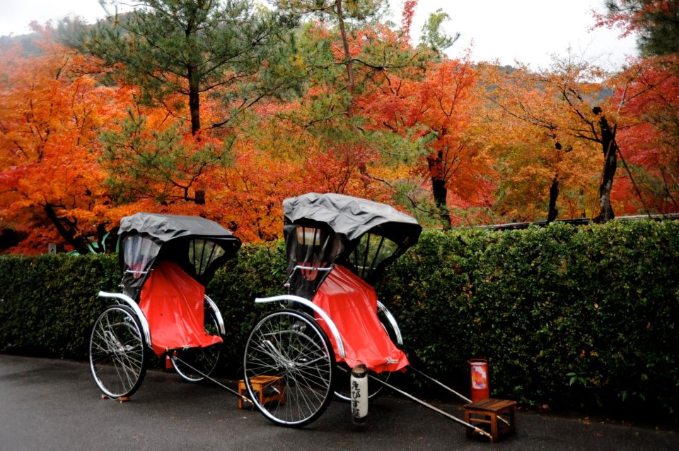 Kyoto: Arashiyama Customized Rickshaw Tour & Bamboo Forest - Scenic Exploration