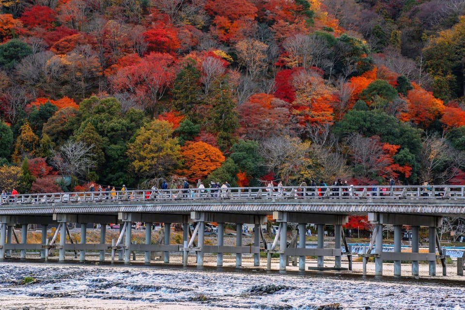 Kyoto/Osaka: Sanzen-in and Arashiyama Day Trip - Important Details