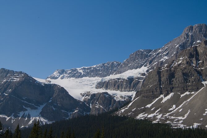 Lake View Full Day Tour-Moraine Lake, Lake Louise, Peyto Lake... - Contact Information