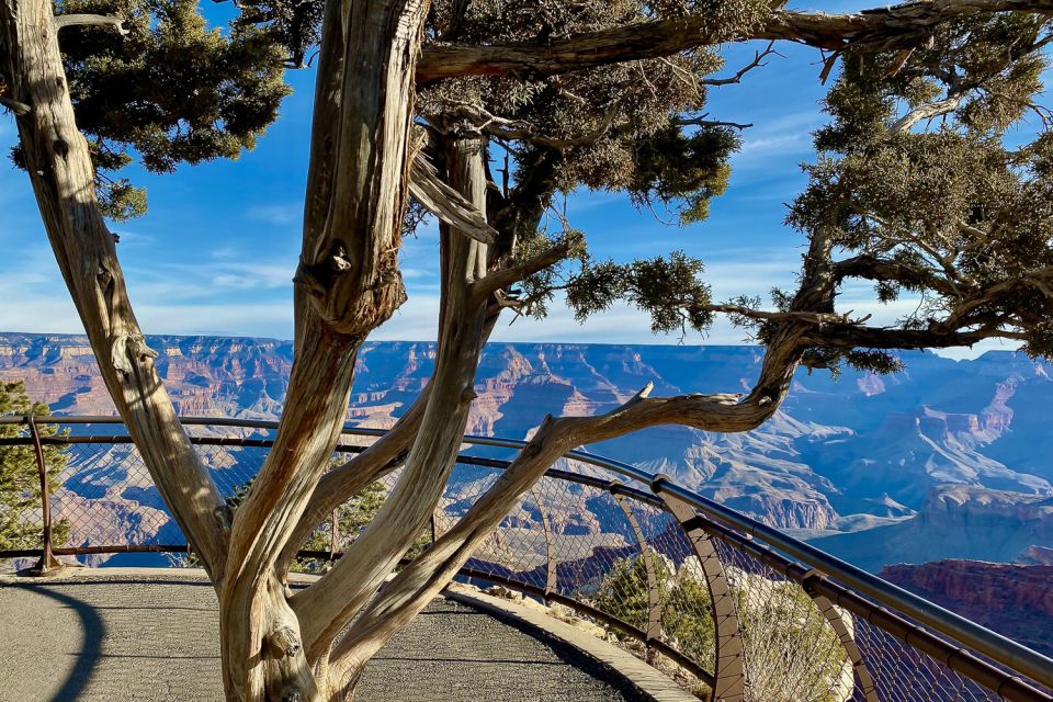 Las Vegas: Grand Canyon National Park With Lunch & Free Wifi - Tour Duration and Destination