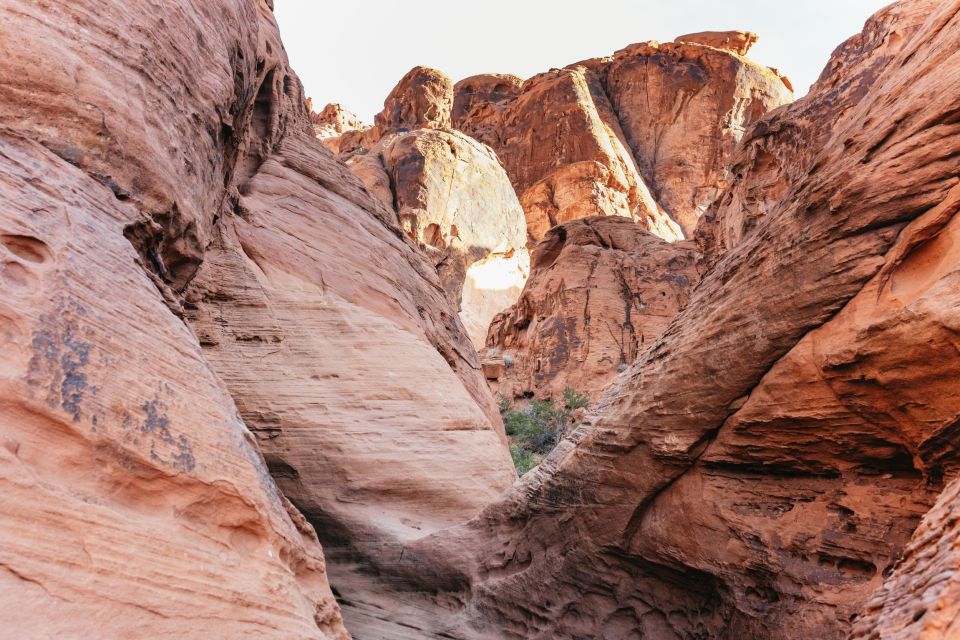 Las Vegas: Valley of Fire Guided Hike With Drinks and Snacks - Small Group Experience