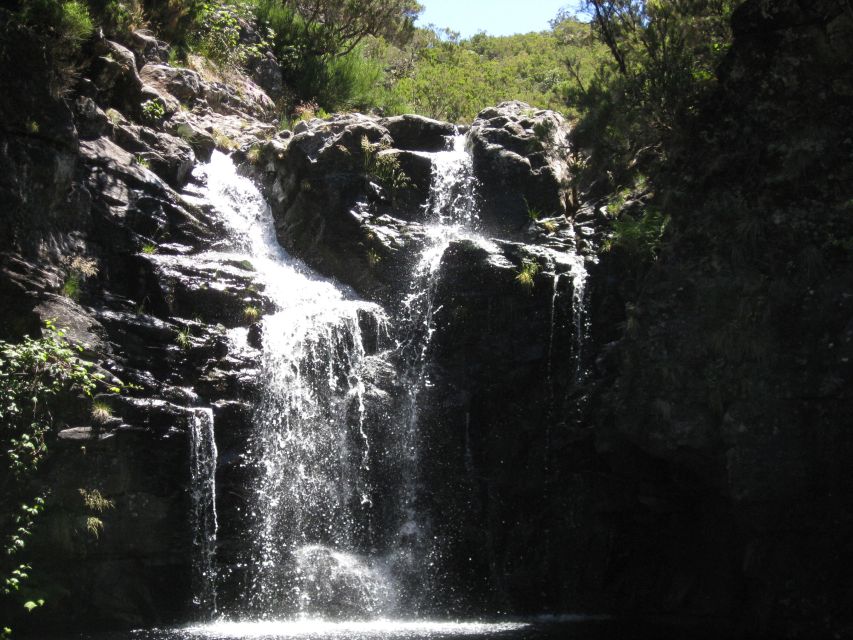 Levada Do Alecrim (Madeira Lakes) Full-Day Walk - Frequently Asked Questions