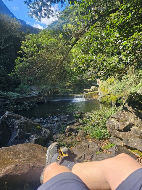 Levada Do Castelejo- Guided Tour by Overland Madeira - Included Transfers and Lunch