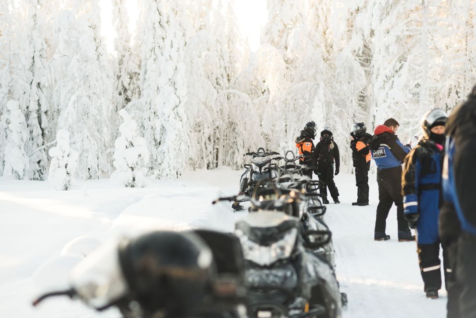 Levi: 2 Hours Snowmobile Safari to the Levi Nature - Capturing Memorable Moments With Photos