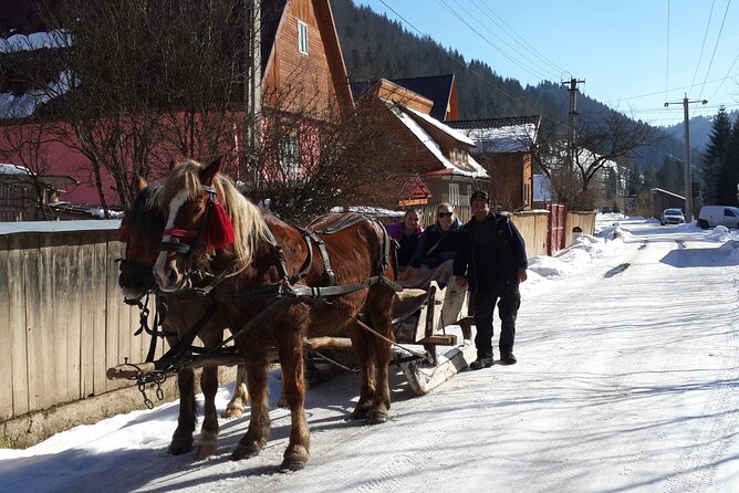 Libearty Brown Bear Sanctuary, Rasnov Fortress, Bran Castle Day Tour From Brasov - Rasnov Citadel