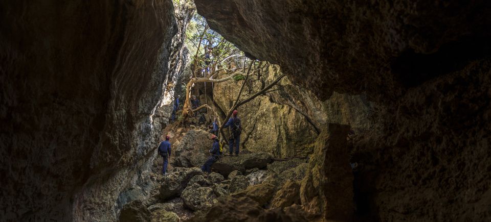 Lisbon: Arrábida Natural Park Via Ferrata & Abseiling Trip - Meeting Point and Logistics