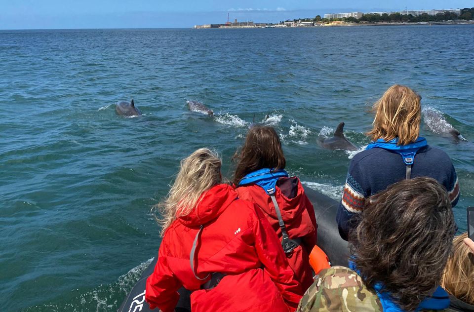 Lisbon: Dolphin Watching Boat Tour - Accessibility and Special Considerations