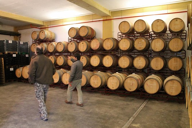 Lisbon Northern Region Wine Tasting Private Tour - Tour Details and Information