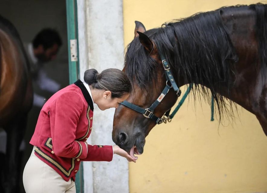 Lisbon: Portuguese Riding School Trainig With Lusitano Horse - Transportation and Accessibility