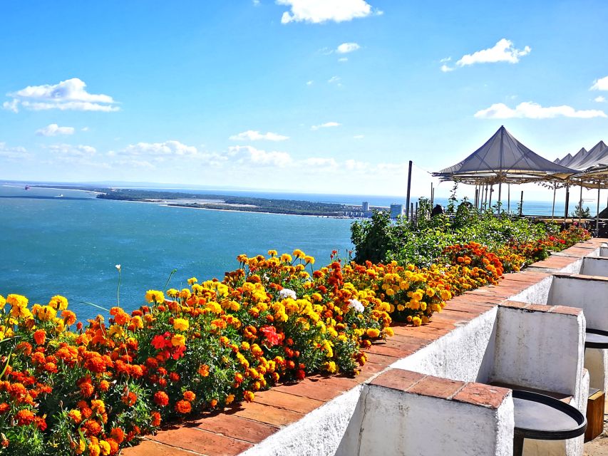 Lisbon: Setúbal History and Fish Market Guided Tour - Inclusions and Booking