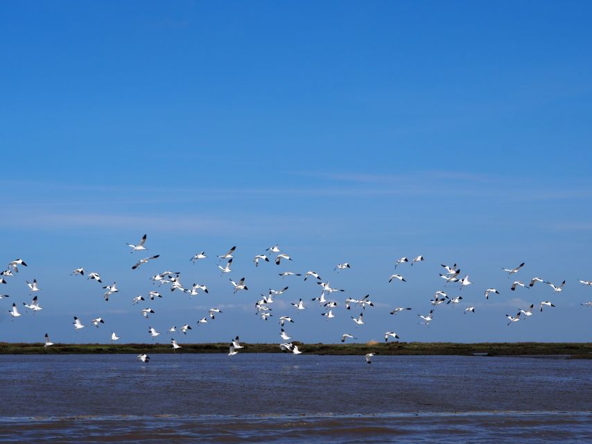 Lisbon: Tagus Estuary Nature Reserve Birdwatching Boat Tour - Group Size and Languages