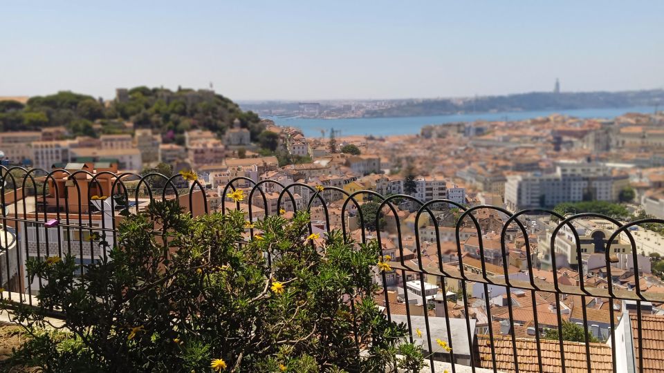 Lisbon Tuktuk Highlights Tour With Food and Wine Tastings - Wine and Cheese Pairing Delight