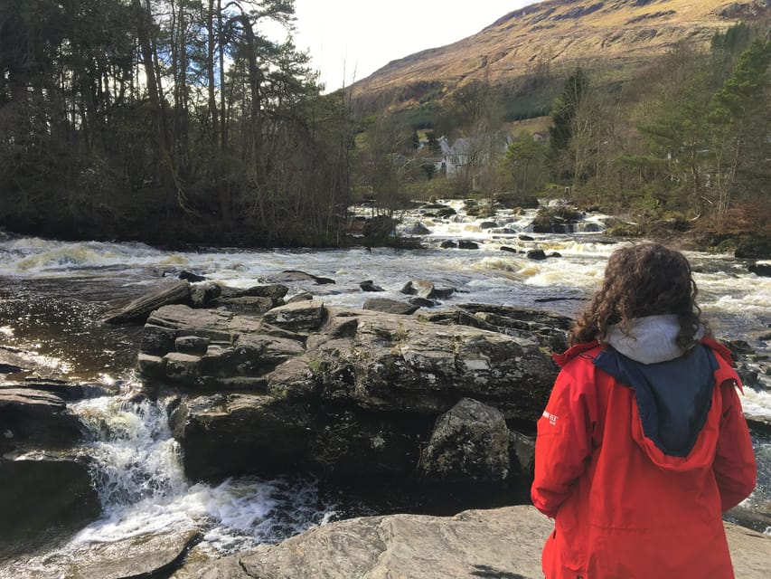 Loch Lomond National Park Tour With 2 Walks - From Glasgow - Feeding Highland Cows