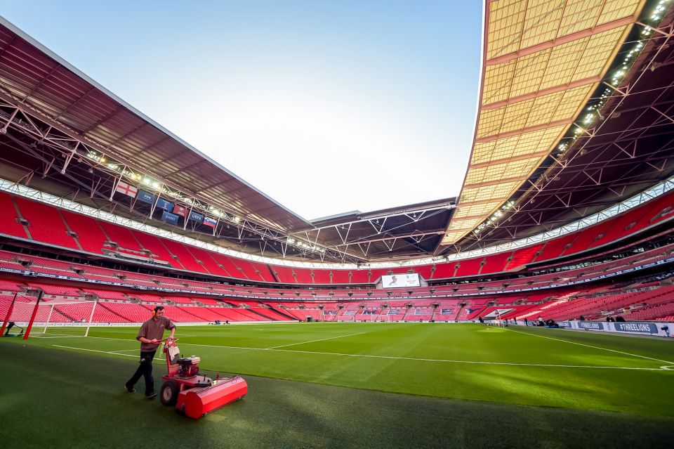 London: Wembley Stadium Guided Tour - Behind-the-Scenes Access