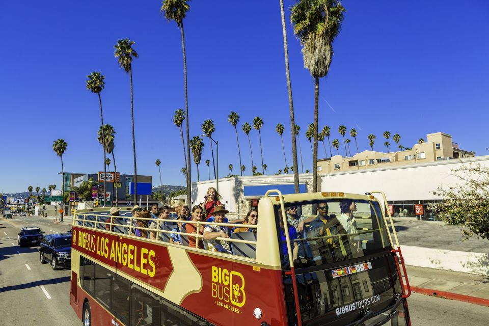 Los Angeles: TMZ Celebrity Tour & 1-Day Hop-on Hop-off Tour - Transportation and Accessibility