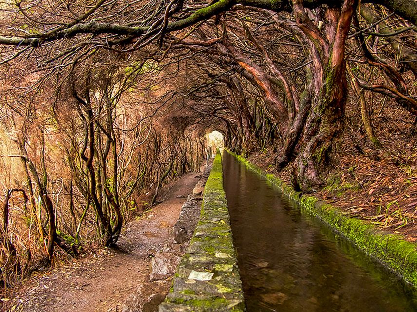 Madeira: Enjoy a Guided Levada Walk in the Rabaçal Valley - Duration and Logistics