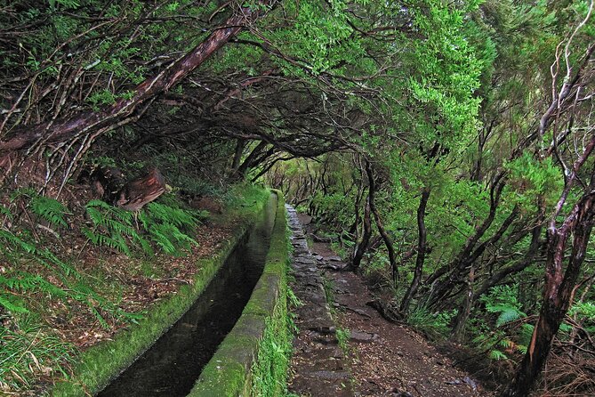 Madeira Levada Walk - Rabacal Lakes and Fountains - Final Thoughts