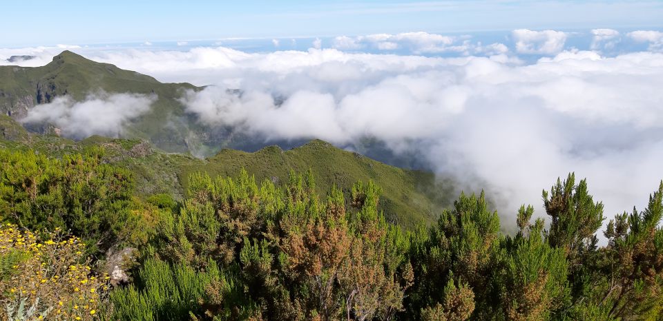 Madeira: Private Guided Achadas Teixeira - Pico Ruivo PR1.1 - Trekking the Achadas Teixeira