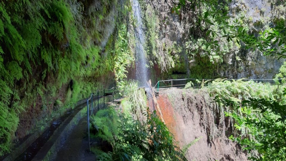 Madeira: Private Guided Levada Do Rei Walk PR18 - Recap