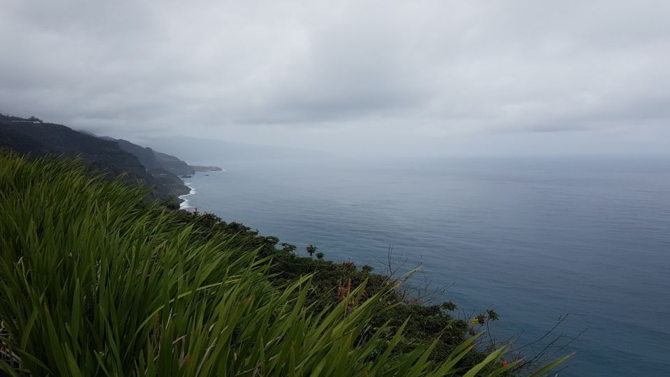 Madeira: Private Half-Day North East Island Tour - Frequently Asked Questions