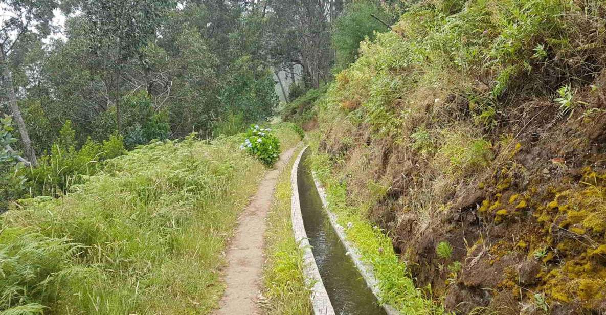 Madeira: Private Levada Ponta Do Pargo Walk - Travelers Responsibility