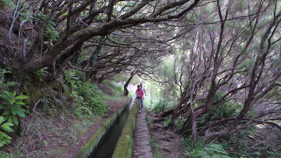 Madeira: Rabaçal 25 Fountains Levada Walk & Cabo Girão - Customer Feedback