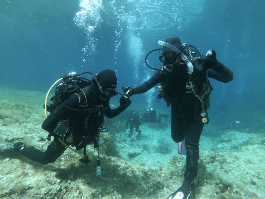 Malta: St. Pauls Bay 1 Day Scuba Diving Course - Sustainability and Responsible Tourism