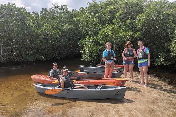 Manatees and Mangrove Tunnels Small Group Kayak Tour - Activity Levels