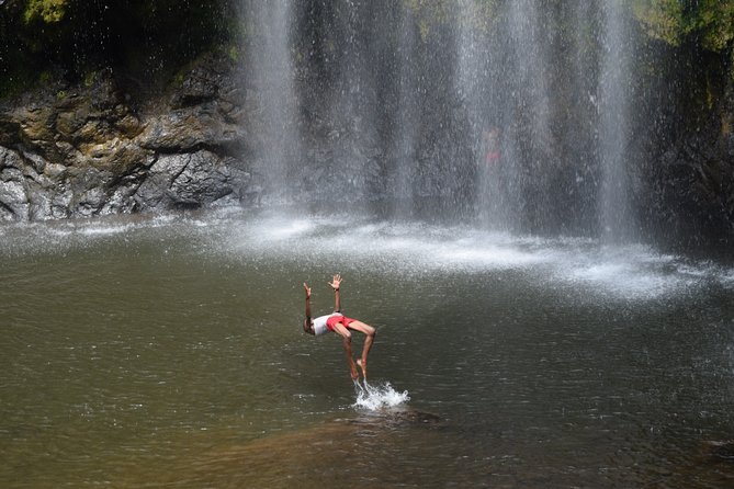 Marangu Waterfall & Coffee Making Cultural Tour | BURIGI CHATO SAFARIS CO LTD - Tour Logistics and Accessibility