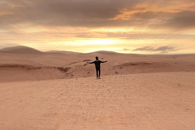 Marrakech Agafay Desert Dinner Show With Sunset Camel Ride - Stellar Customer Reviews