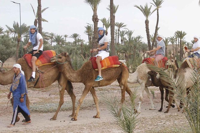 Marrakech Camel Ride Tour - Host Response