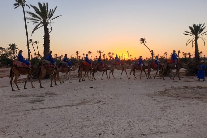 Marrakech Desert Camel Ride - What to Expect on the Camel Ride