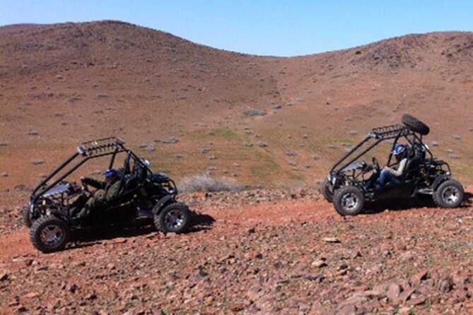 Marrakech Palm Grove 2-Hour Quad Biking Adventure. - Motoring Through Lush Palm Groves