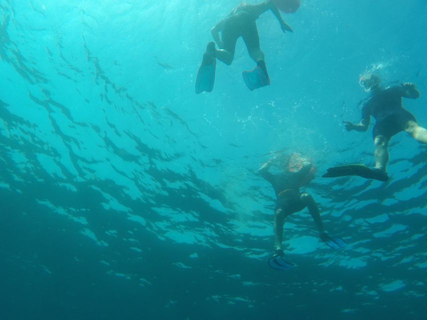 Marseille: Endoume Snorkeling Adventure With Snacks & Drinks - Age and Health Restrictions