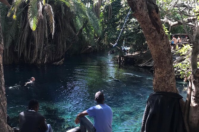 Materuni Waterfall - Coffee Tour or Chemka Hot Spring Tour - Participation and Accessibility