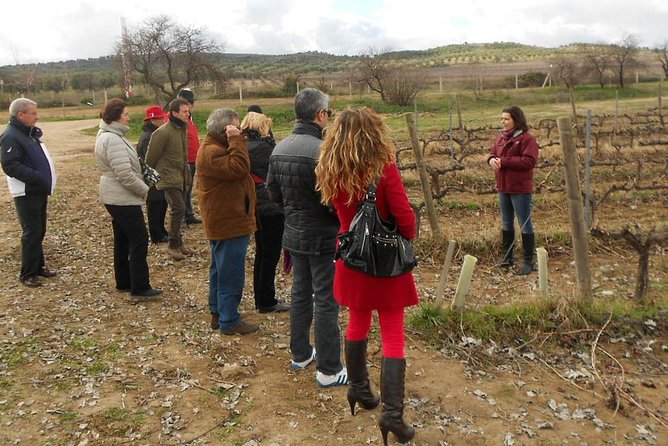 Medieval Castles, Wineries Experience With Tasting From Madrid - Cancellation Policy and Pricing