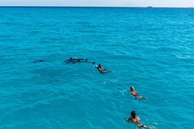 Meet the Dolphins in Snorkeling Tour - Cancellation Policy