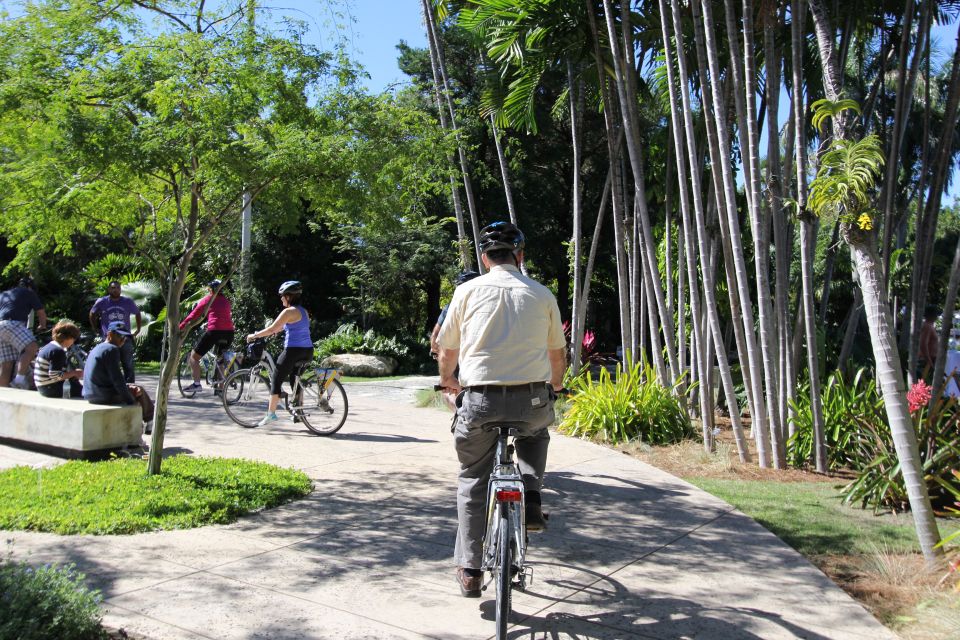 Miami: Bike Rental - Miami Beachs Pier