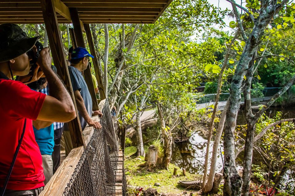 Miami: Everglades Safari Park Airboat Tour - Restrictions and Prohibited Items