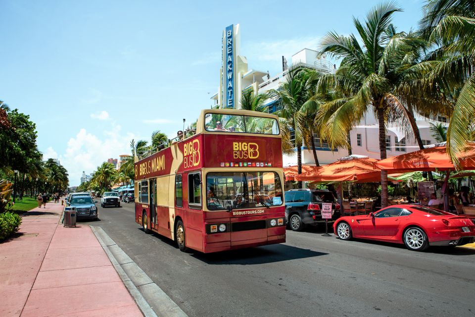 Miami: Hop-on Hop-off Sightseeing Tour by Open-top Bus - Customer Feedback and Ratings