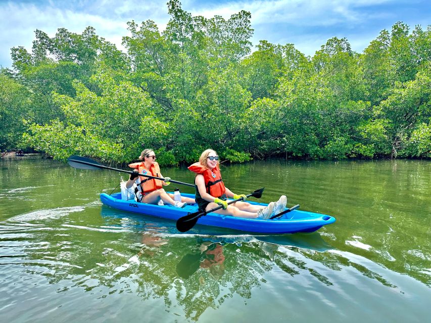 Miami: Paddle Board or Kayak Rental in Virginia Key - Reserve and Pay Later