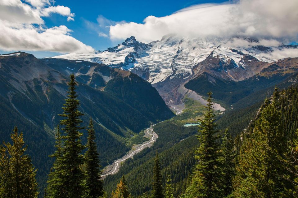 Mount Rainier National Park: Audio Tour Guide - High-Country Meadows and Wildflowers