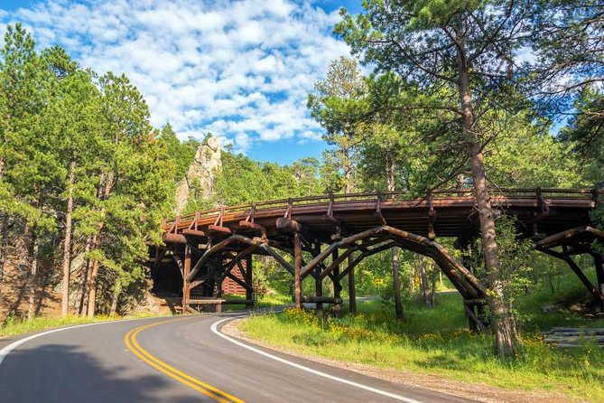 Mount Rushmore and Black Hills Bus Tour With Live Commentary - Custer State Park