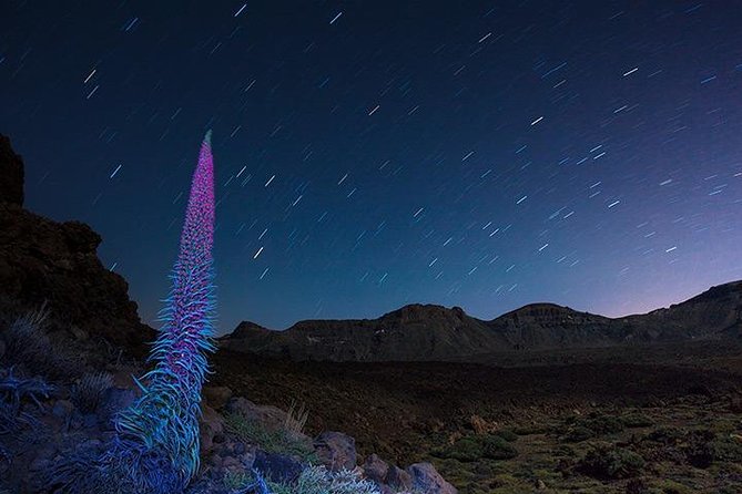 Mount Teide Night Tour: Stargazing, Dinner and Hotel Pick up - Tour Capacity and Cancellation Policy