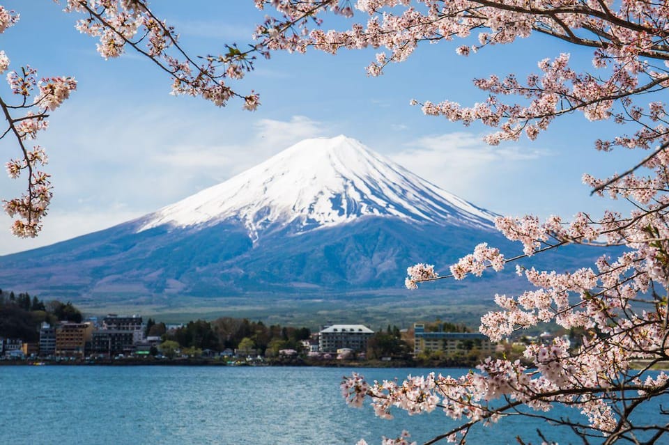 Mt. Fuji Tour With an English Speaking Driver - Health and Safety Considerations