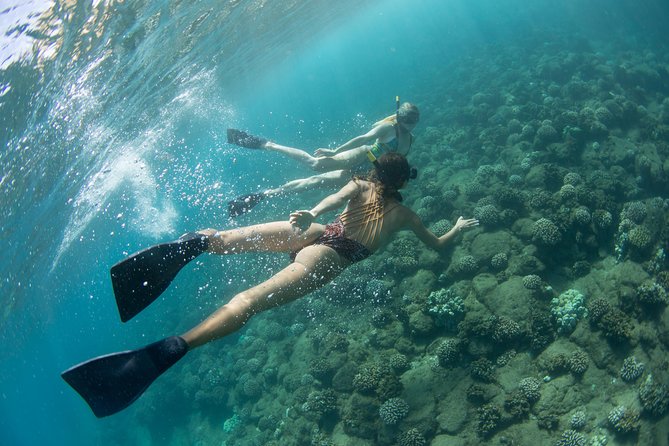 Na Pali Coast Kauai Snorkel and Sail - Age and Health Guidelines