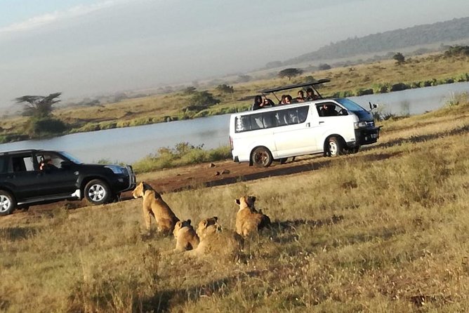 Nairobi National Park, Elephant Orphanage, Giraffe Centre,Karen Blixen Day Tour - Infant Travelers