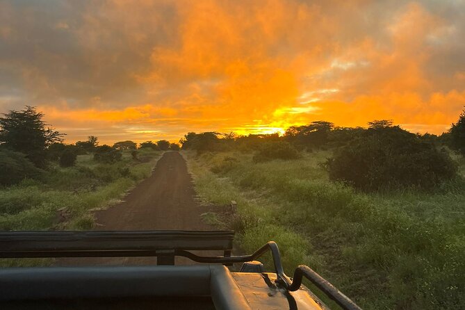 Nairobi National Park Game Drive. - Planning Your Visit